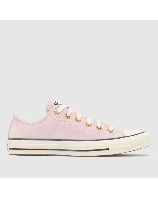 Converse Pink All Star Ox Trainers
