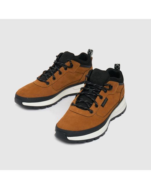 Timberland Brown Field Trekker Low Boots for men