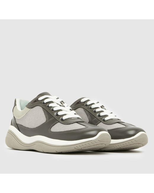 Steve Madden Gray Prevale Trainers for men