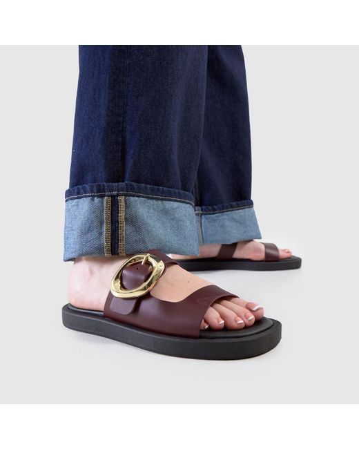 Schuh Brown Teela Buckle Footwear Sandals
