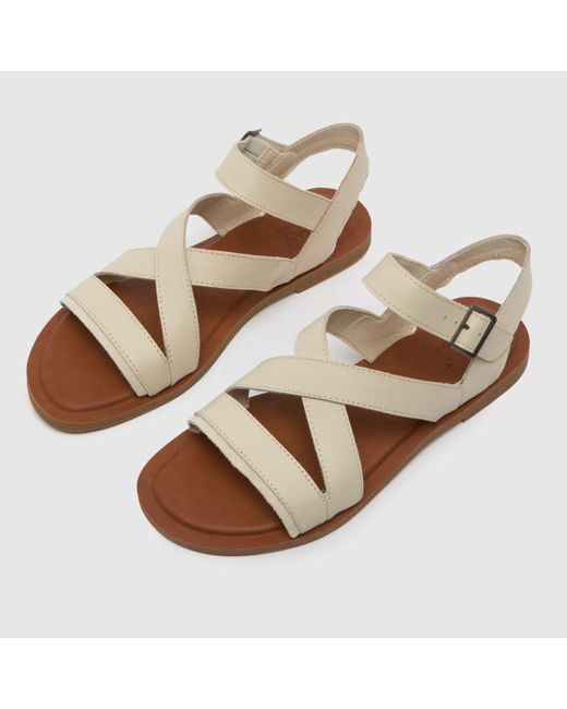TOMS Brown Sloane Sandals In