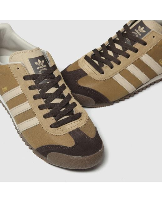 Adidas Brown & Stone Rom Trainers for men