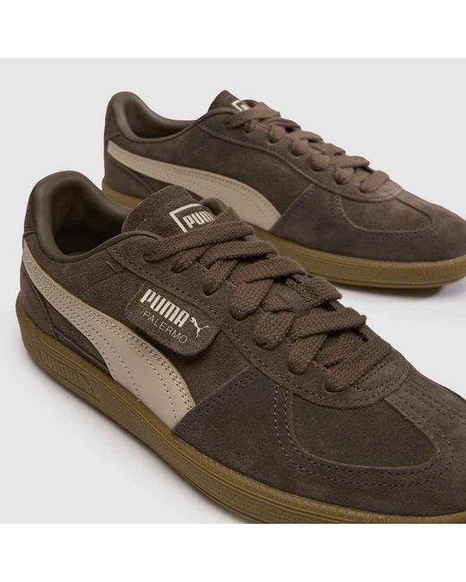 PUMA Brown Palermo Trainers for men