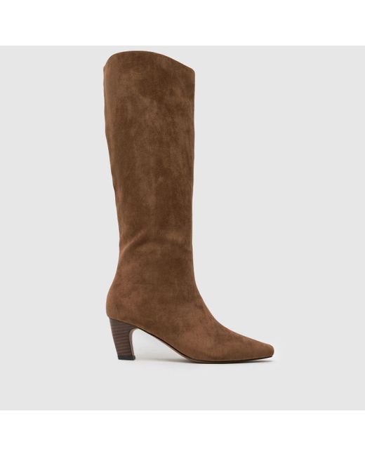 Schuh Brown Delia Knee High Boots