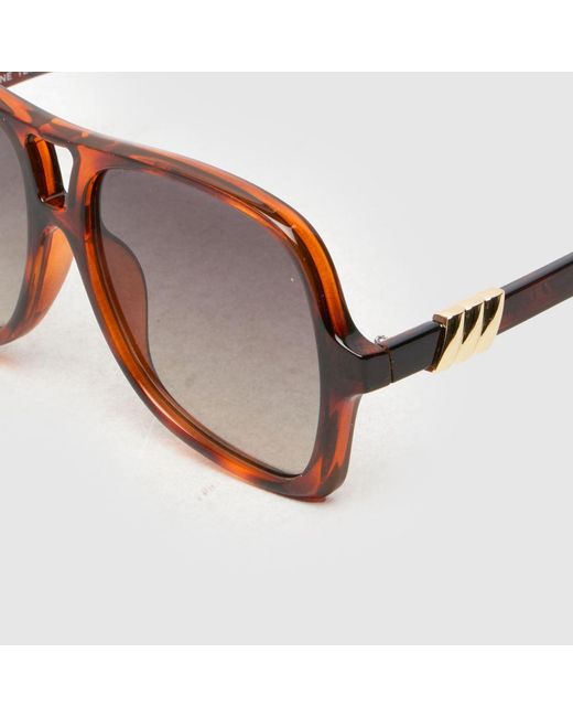 Le Specs Brown Fortune Teller Sunglasses