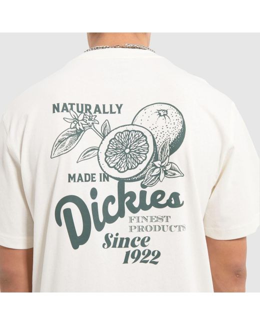 Dickies White Raven T-shirt In for men