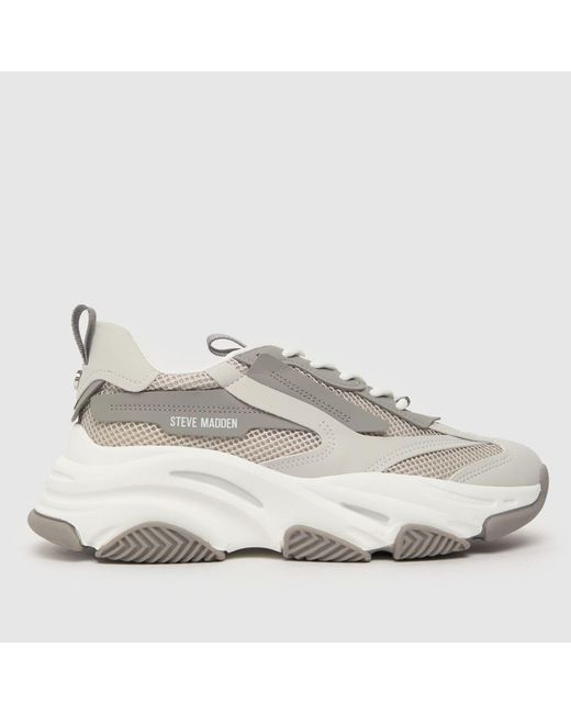 Steve Madden Gray Possession Trainers