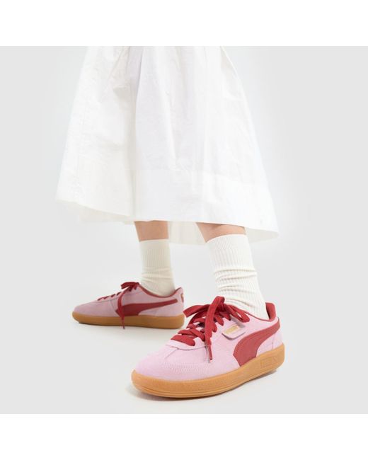 PUMA Pink Palermo Trainers