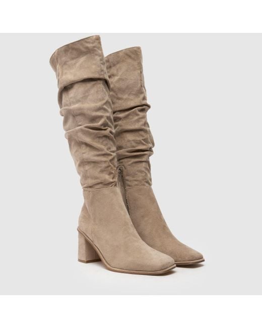 Schuh Brown Daria Knee High Boots In