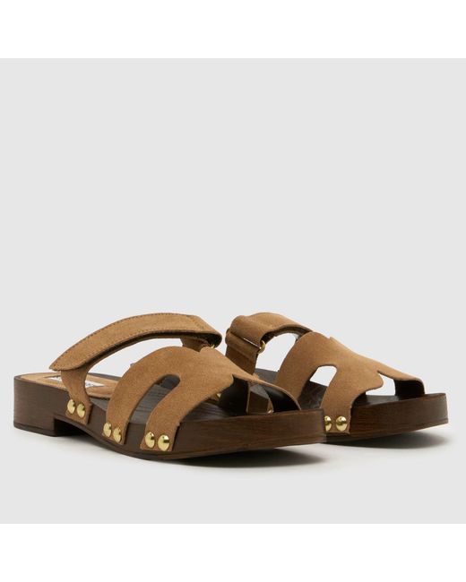 Steve Madden Brown Canal Sandals