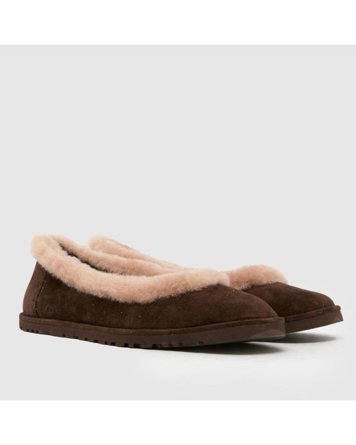 Ugg Brown Zora Ballet Shoes
