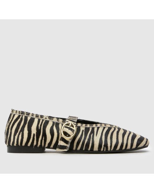Schuh Black Lavena Ballerina Flats