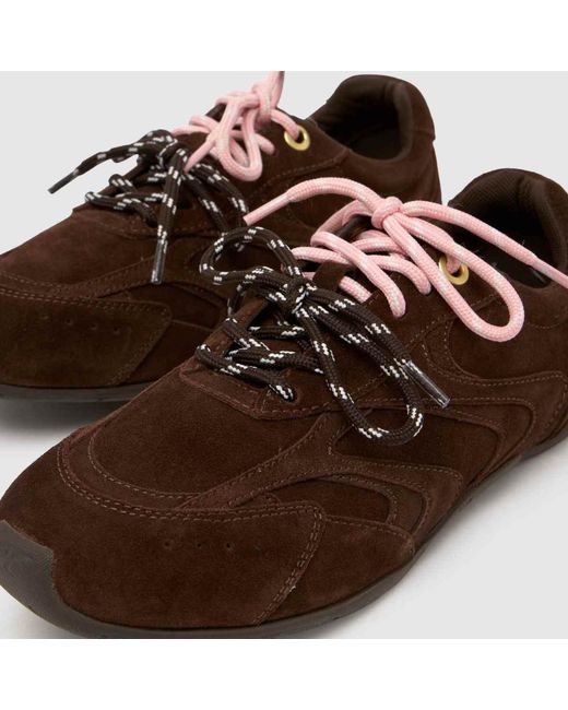 Schuh Brown Mindy Suede Lace Up Trainers