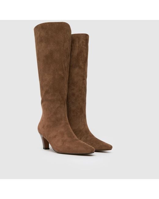 Schuh Brown Delia Knee High Boots