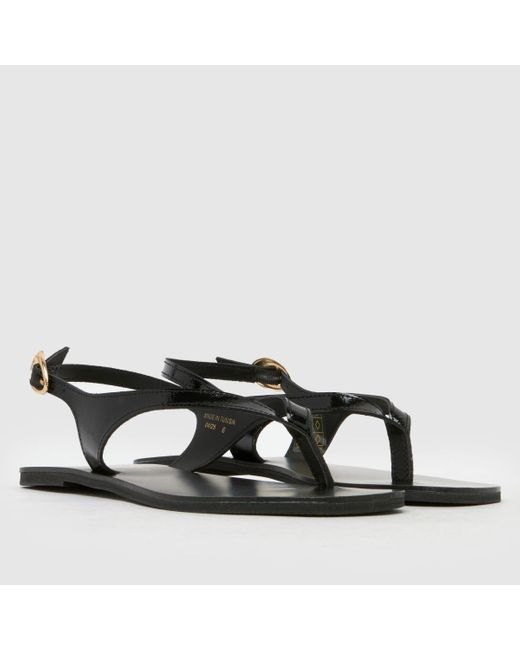Schuh Brown Townsend Leather Toe Post Sandals