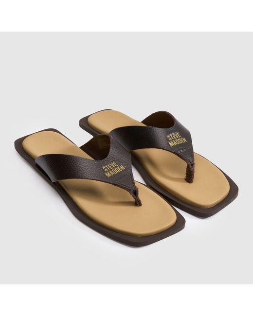 Steve Madden Brown Splash-B Flip Sandals