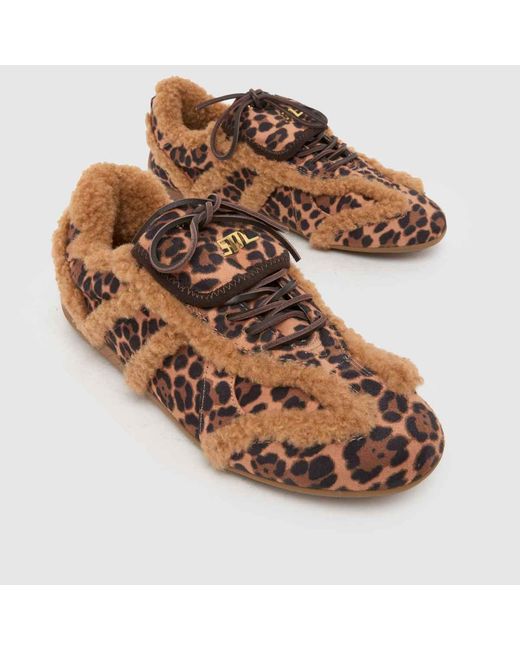 Steve Madden Brown Freezone Trainers