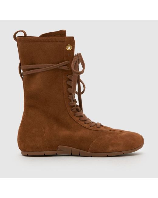 Schuh Brown Morg Suede Boxing Boot Trainers