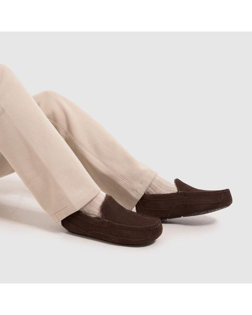 Ugg Brown Ascot Slippers for men