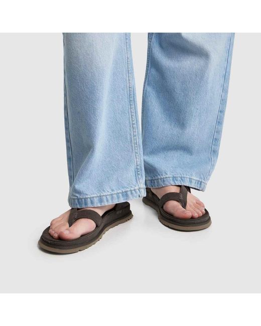 Ugg Brown Goldengaze Toe Post Sandals