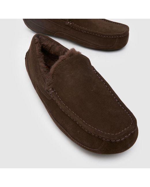 Ugg Brown Ascot Slippers for men