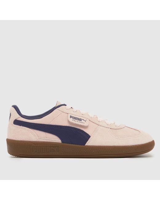PUMA Multicolor Palermo Trainers