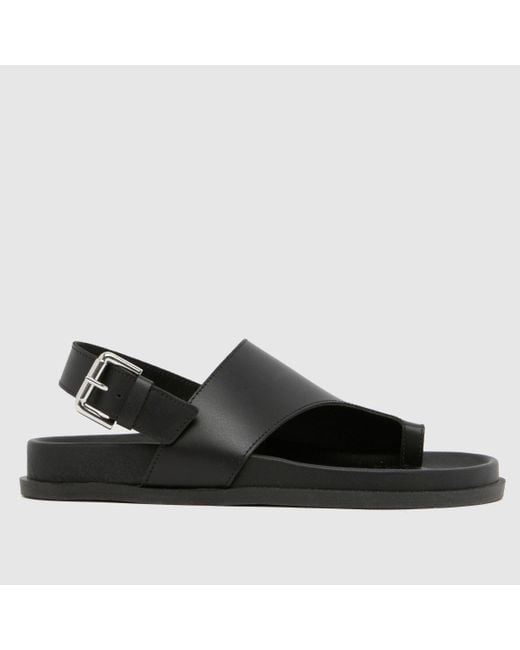 Schuh Black Tamsyn Toe Post Sandals