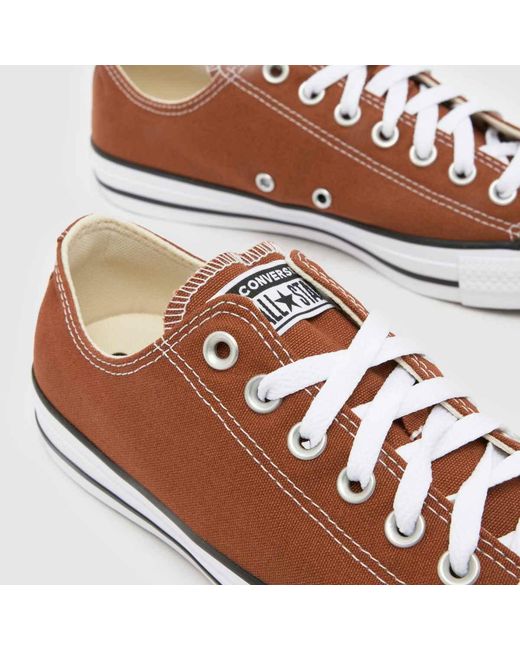 Converse Brown All Star Ox Trainers for men