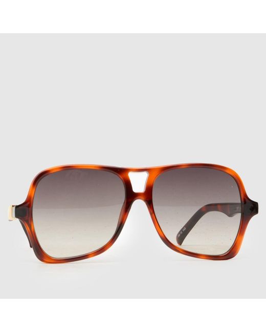 Le Specs Brown Fortune Teller Sunglasses