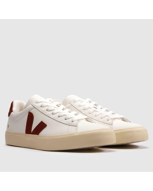 Veja Pink Campo Trainers