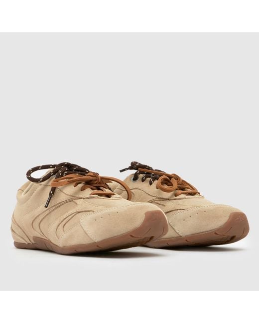 Schuh Natural Mindy Suede Lace Up Trainers