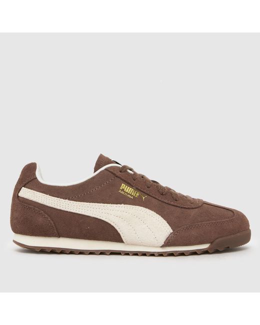 PUMA Brown Arizona Trainers