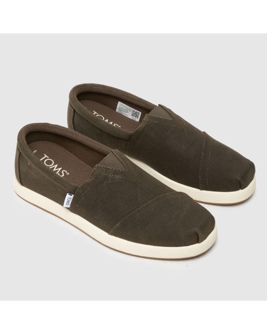 TOMS Brown Alp Forward Shoes In for men