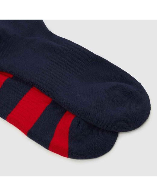 Polo Ralph Lauren Blue Bear Crew Socks 2 Pack