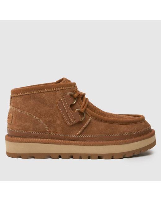 Ugg Brown Hayden Moc Boots for men