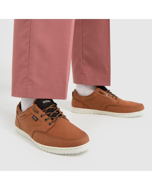Etnies Brown Dory Trainers for men