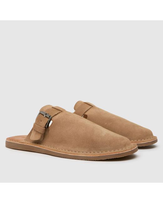 Schuh Brown Sean Clog Sandals In for men