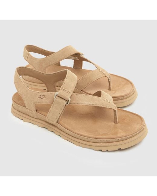 Ugg Natural Goldengaze Toe Post Sandals