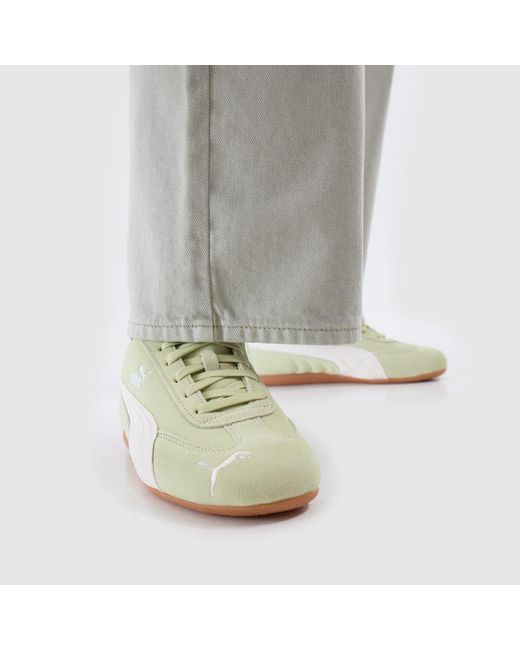 PUMA Yellow Speedcat Trainers