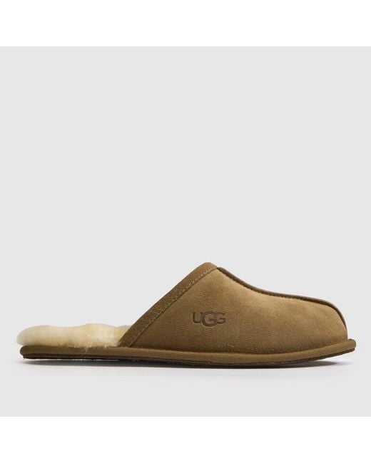 Ugg Brown Scuff Slippers for men