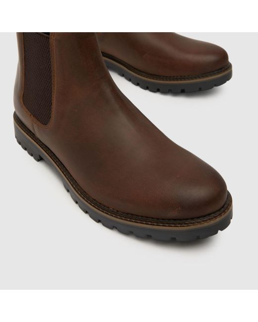 Schuh Brown Dawson Leather Chelsea Boots In for men
