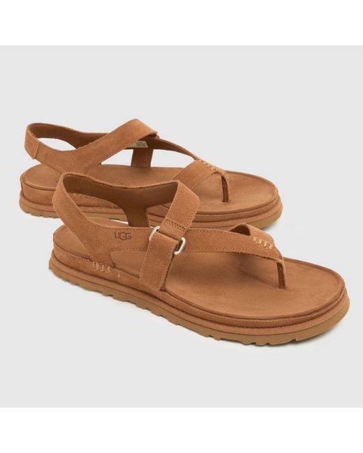 Ugg Brown Goldengaze Toe Post Sandals
