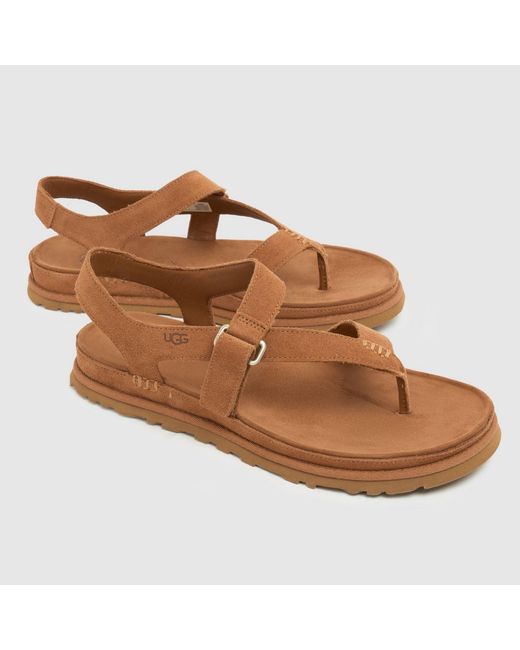Ugg Brown Goldengaze Toe Post Sandals