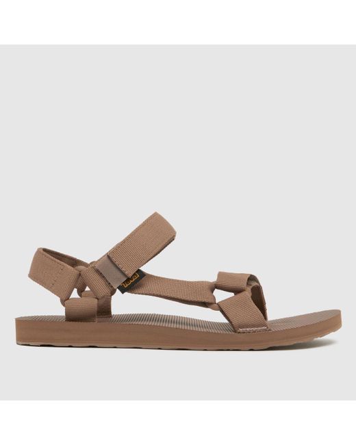 Teva Brown Original Universal Sandals for men