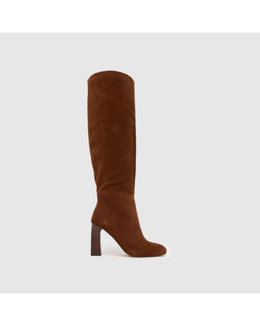 Schuh Brown Draya Suede Knee High Boots