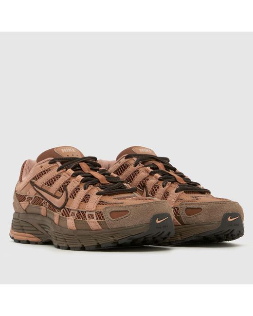 Nike Brown P-6000 Trainers for men
