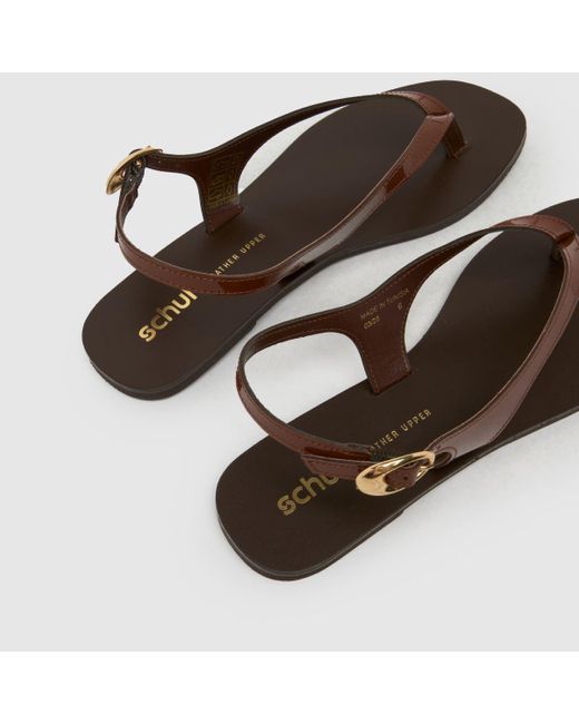 Schuh Brown Townsend Leather Toe Post Sandals