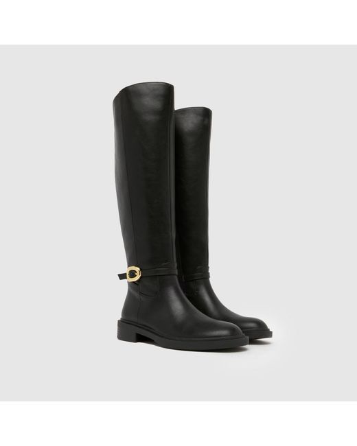 Schuh Black Dory Riding Boots