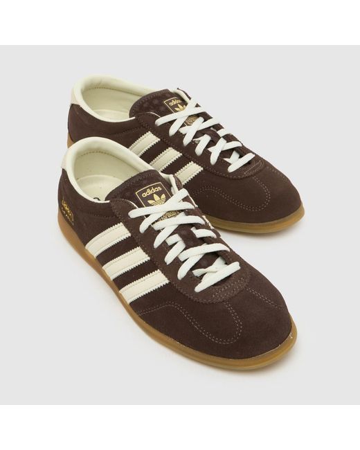 Adidas Brown Gazelle Pro Low Trainers