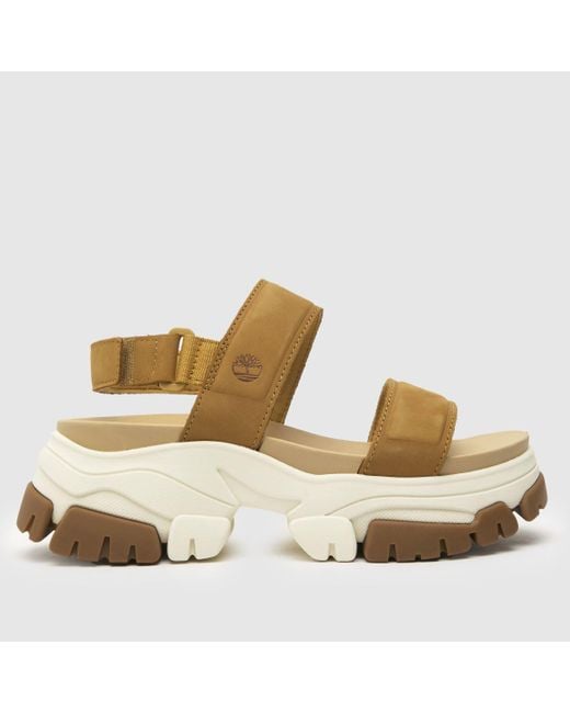 Timberland Metallic Adley Way Sandals